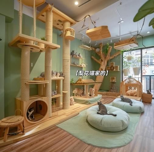 如何打造宠物友好型家庭_宠物环境布置技巧