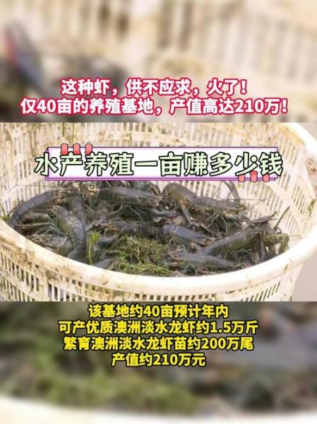水产养殖赚钱吗_水产养殖成本利润分析
