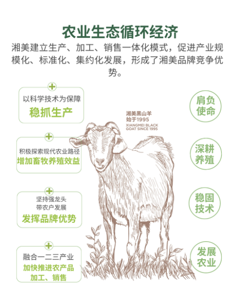 羊肉市场前景怎么样_2024年养羊赚钱吗