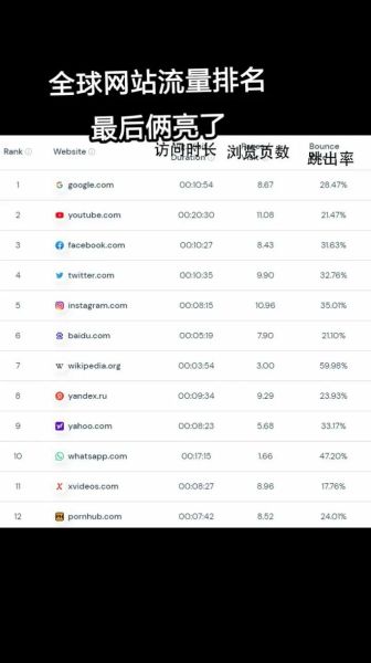 2013年全球网站排名_如何查看