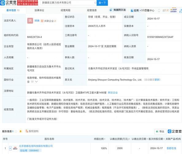 新疆互联网公司有哪些_新疆互联网企业排名前十
