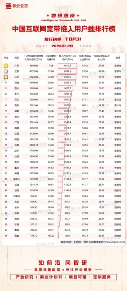中国互联网用户总数_2024年最新数据是多少