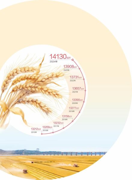 粮食价格为什么上涨_粮食行业未来趋势