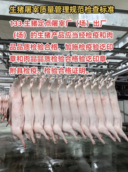 猪屠宰行业前景如何_2024年还能赚钱吗