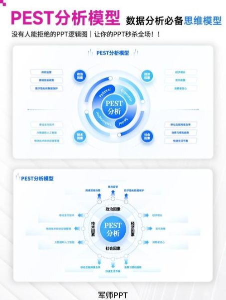 互联网经济pest分析怎么做_互联网经济pest模型应用案例