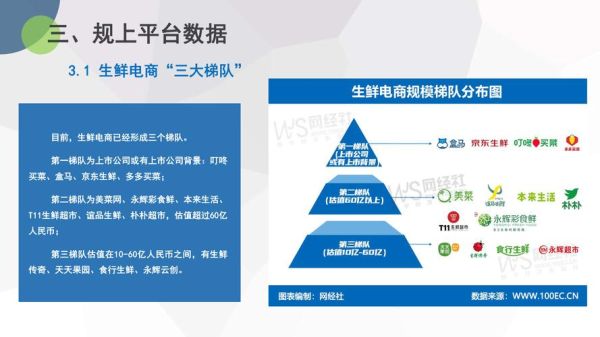 生鲜市场前景如何_2024年还能入局吗