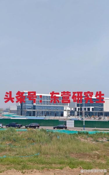 东营未来五年发展怎么样_东营适合投资哪些行业