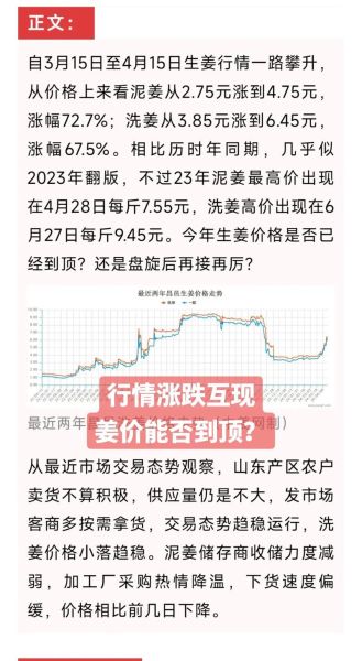 生姜种植前景怎么样_生姜价格走势如何