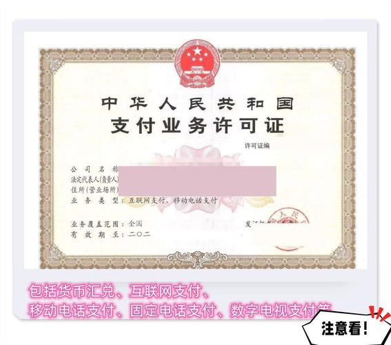 互联网支付业务如何盈利_第三方支付牌照申请条件