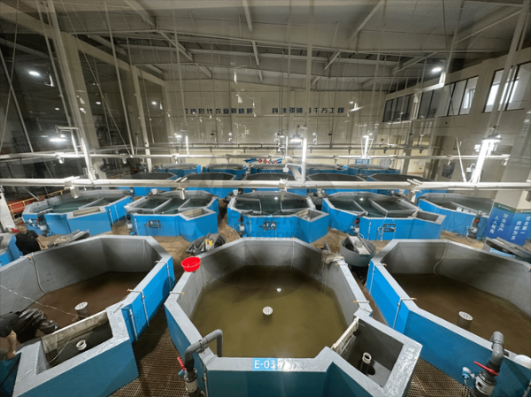 渔业电商怎么做_渔业现状分析