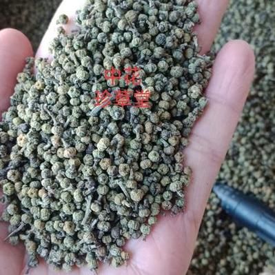 吴茱萸价格走势_吴茱萸种植前景怎么样