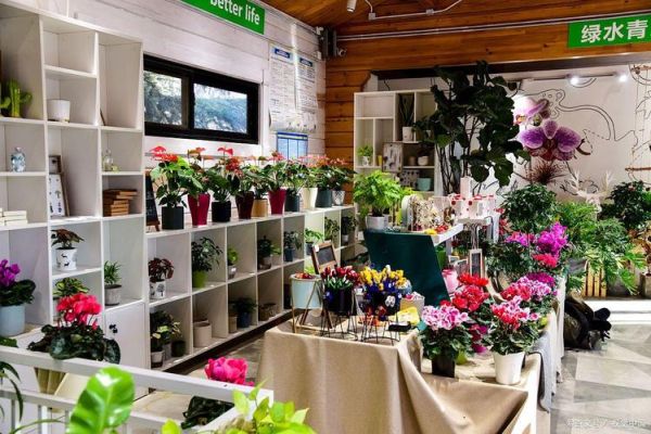 花卉行业前景怎么样_开花店赚钱吗
