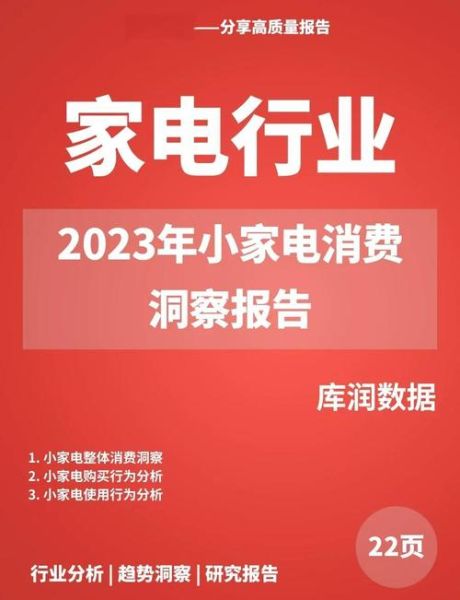小电器前景怎么样_2024年还能入局吗