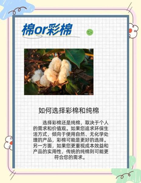 彩棉发展前景怎么样_彩棉未来市场有多大