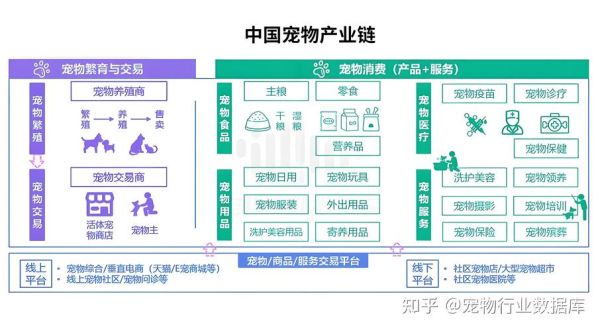 宠物品牌如何突围_2024宠物电商竞争格局