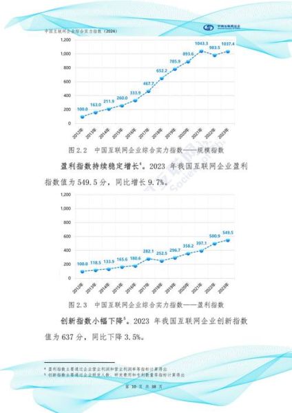 中国十大互联网简况_2024最新数据