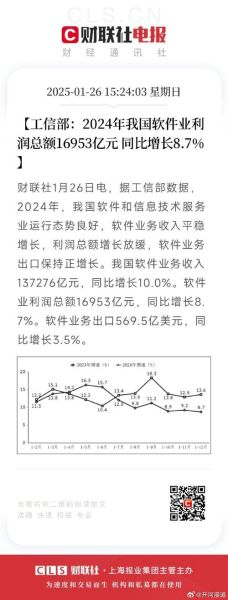 软件行业投资前景如何_2024年软件行业投资分析报告