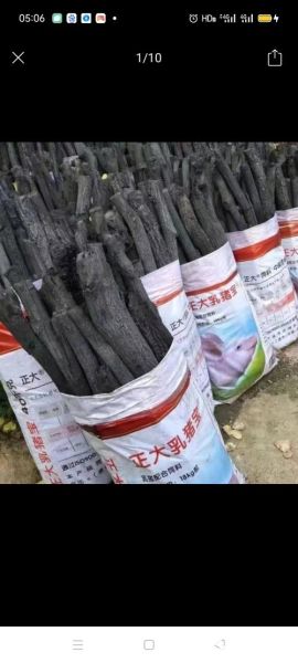 木炭市场前景怎么样_木炭生意还能做吗