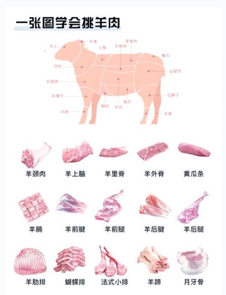 羊肉价格为什么涨_如何挑选优质羊肉