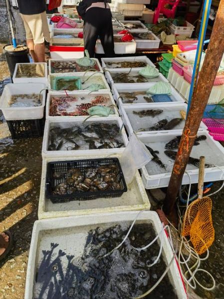 渔业市场现状如何_2024渔业赚钱吗