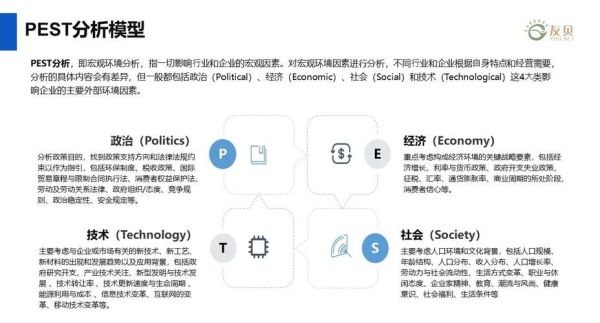 软件行业pest分析怎么做_软件企业如何应对政策风险