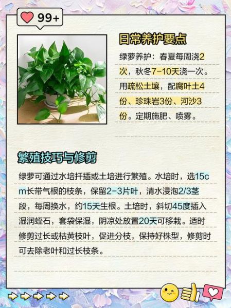 2013年百度绿萝算法是什么_如何快速恢复被K网站