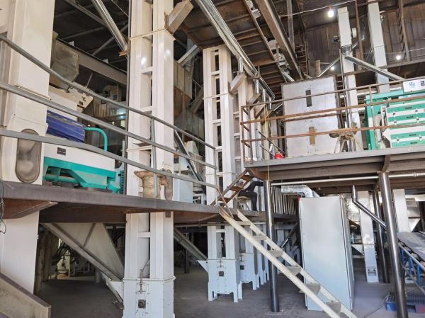 大米加工厂投资多少钱_大米加工利润有多大