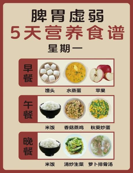 健康养生吃什么好_如何科学搭配三餐