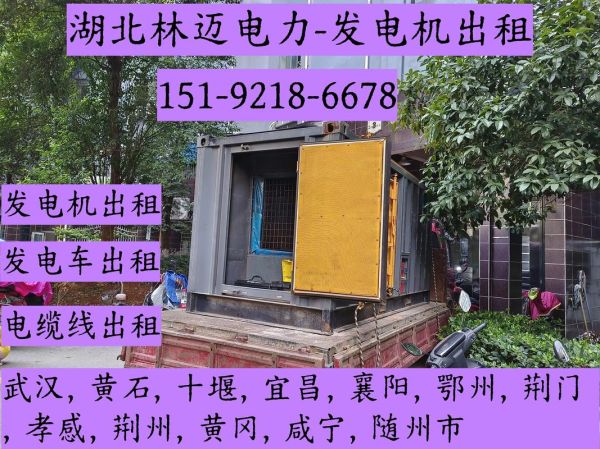 发电机市场前景如何_发电机租赁价格多少钱一天