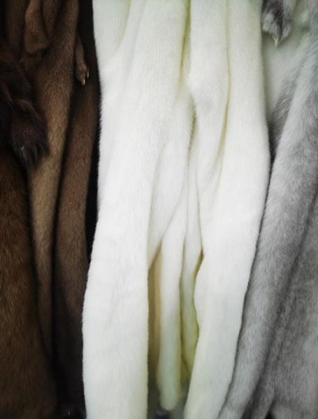 皮草行业前景怎么样_2024年还能投资吗