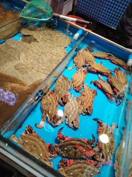 海鲜市场未来五年前景如何_2024年海鲜行业赚钱吗