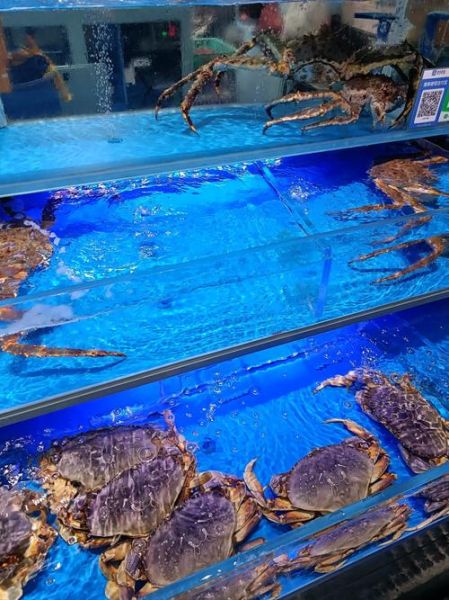 海鲜市场未来五年前景如何_2024年海鲜行业赚钱吗