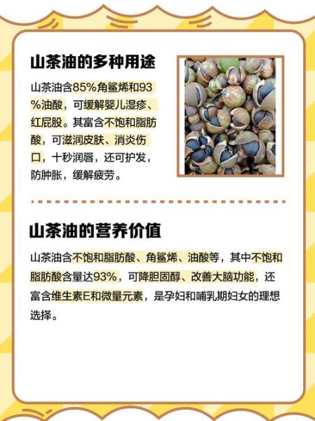 山茶油前景怎么样_山茶油市场前景如何