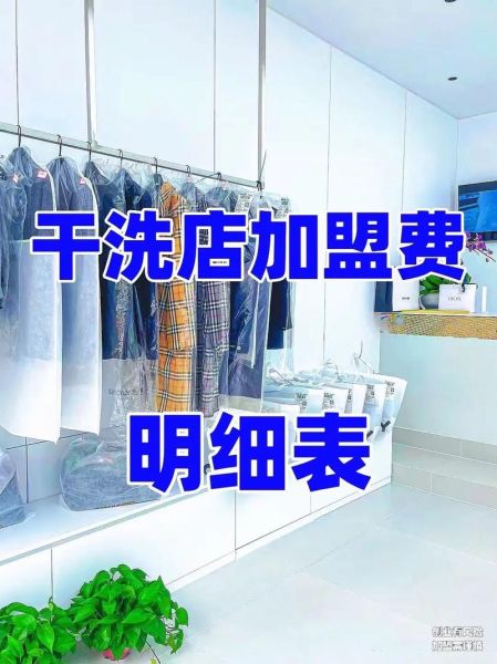 2017年洗衣行业怎么样_洗衣店加盟赚钱吗