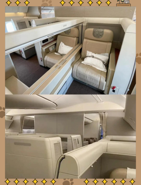 飞机高端座椅多少钱一套_头等舱座椅品牌有哪些