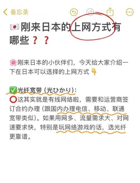 日本2017年互联网普及率_日本网民上网习惯