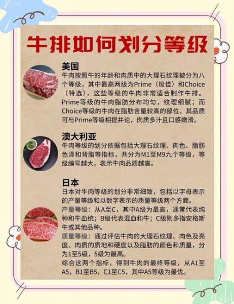 牛排行业前景怎么样_牛排市场未来五年趋势