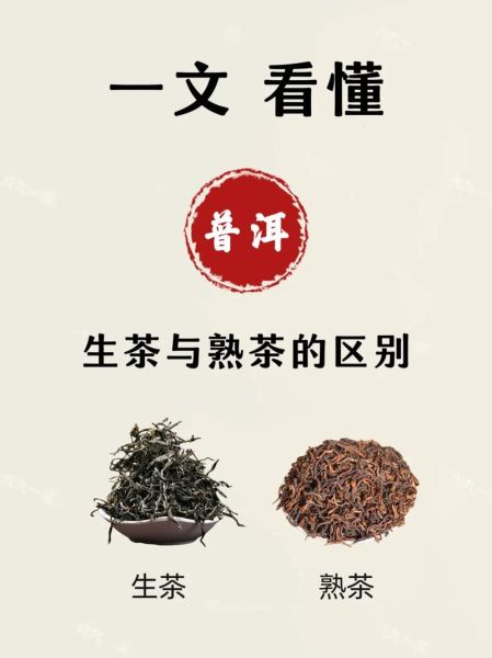 普洱茶怎么储存_普洱生茶和熟茶的区别