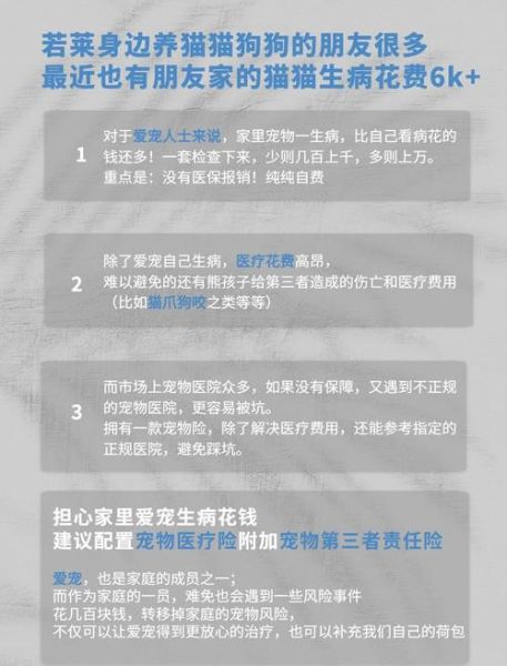 美国宠物保险怎么选_美国宠物看病贵吗