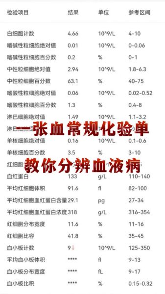 医学检验报告多久能出结果_如何看懂血常规指标