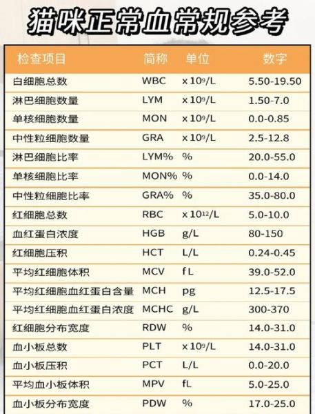 医学检验报告多久能出结果_如何看懂血常规指标