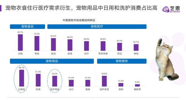 宠物用品前景怎么样_2024年还能入局吗