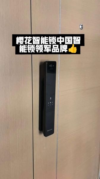 电子锁哪个品牌好_电子锁怎么选