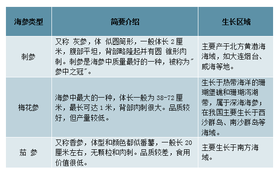 海参前景怎么样_海参行业值得投资吗
