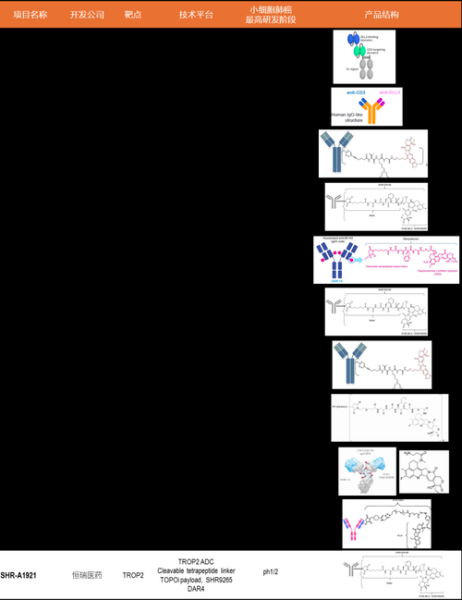 靶点发展前景如何_热门靶点有哪些