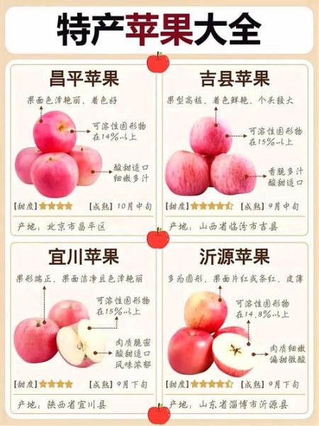 中国最具种植前景水果有哪些_如何选品种