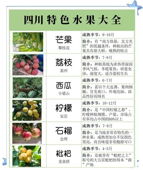 中国最具种植前景水果有哪些_如何选品种