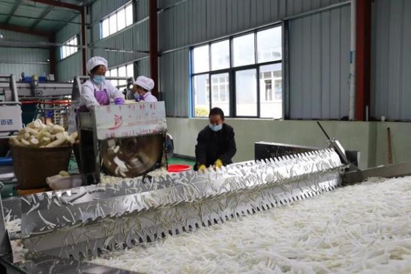 脱水蔬菜市场前景怎么样_脱水蔬菜加工利润高吗