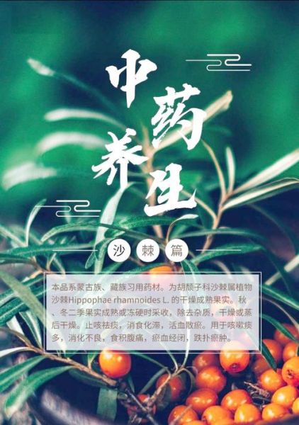 沙棘市场前景怎么样_沙棘产业投资赚钱吗