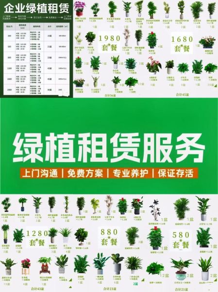 绿化公司怎么选_小区绿化多少钱一平方